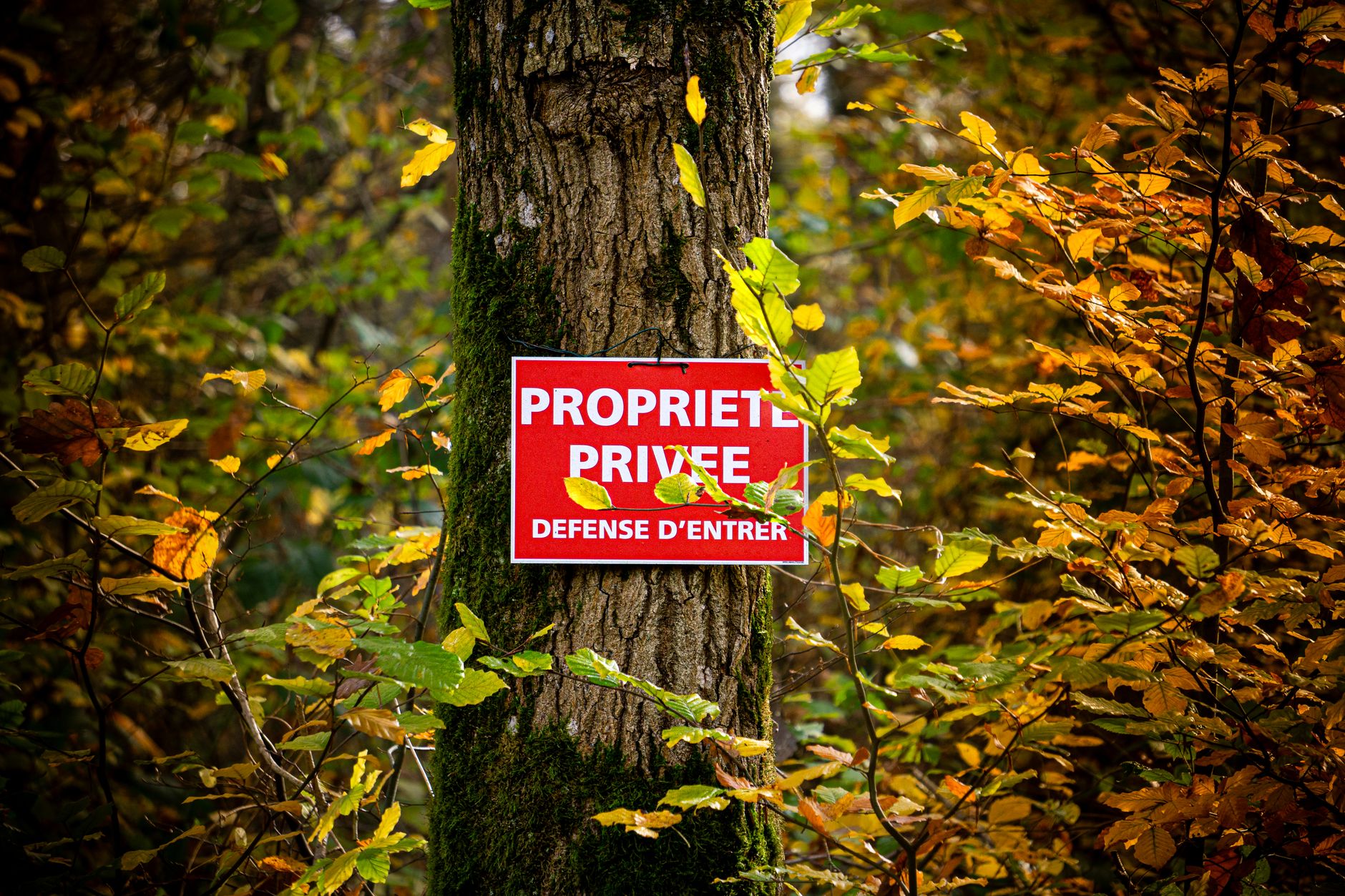 Détective privé à La Roche-sur-Yon